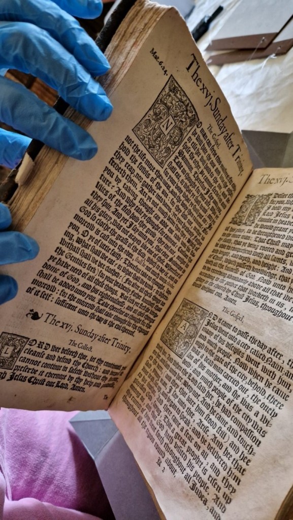 A volunteer wearing blue gloves holds open the pages of a book